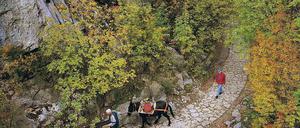 Unterwegs im Nationalpark Paklenica im Velebit-Gebirge. 