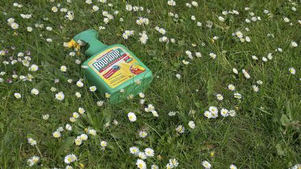 Gift im Gras. Auf einer Wiese mit Gänseblümchen liegt eine grüne Sprühflasche mit dem Unkrautmittel "Roundup". Es enthält Glyphosat.