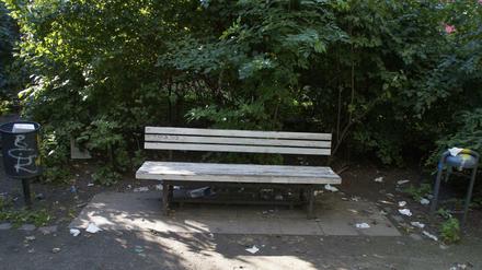Das teils wild gewachsene Grün in der Anlage bietet Freiern und Junkies einen willkommenen Sichtschutz.