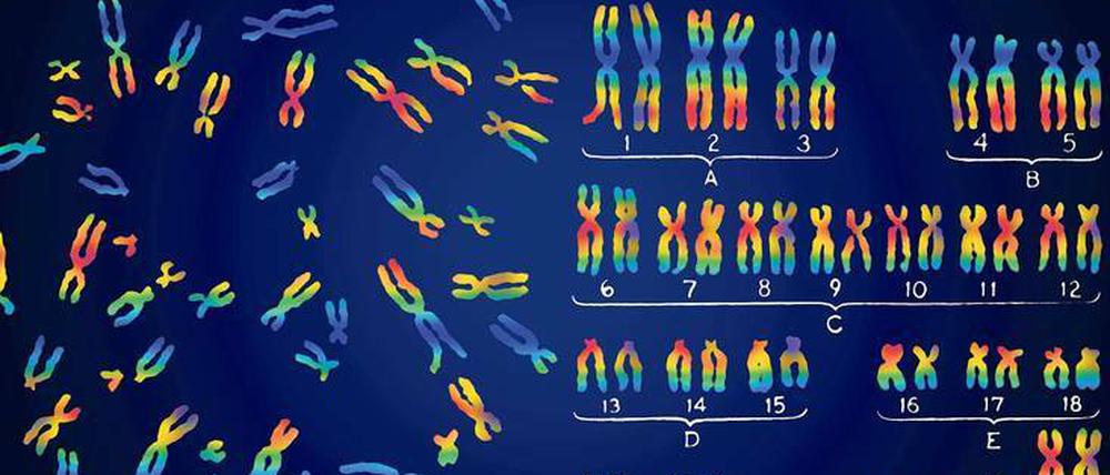 Vielfältiges Erbgut. Insgesamt 88 Millionen Varianten haben Forscher des „1000-Genome-Projekts“ in den DNS-Bausteinen des Menschen entdeckt.