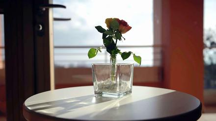 Rose auf einem Tisch in einem Patientenzimmer der Palliativstation im Roten Kreuz Krankenhaus in Kassel.