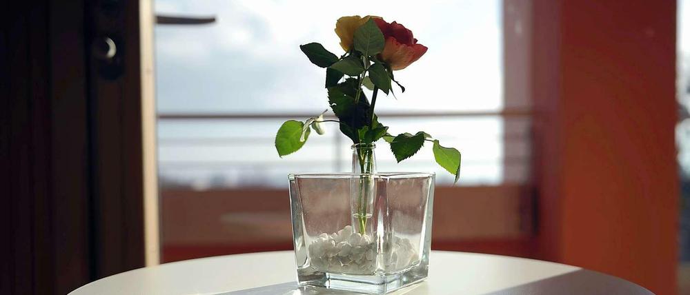Rose auf einem Tisch in einem Patientenzimmer der Palliativstation im Roten Kreuz Krankenhaus in Kassel.