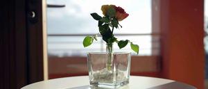 Rose auf einem Tisch in einem Patientenzimmer der Palliativstation im Roten Kreuz Krankenhaus in Kassel.