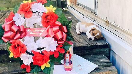 Auf der Veranda des Hauses in Tennessee liegt ein Kranz in Gedenken an die Achtjährige, die von einem Elfjährigen Nachbarsjungen und Mitschüler erschossen worden ist. Daneben liegt ihr Hund, wegen dem sich die Jugendlichen gestritten hatten. 