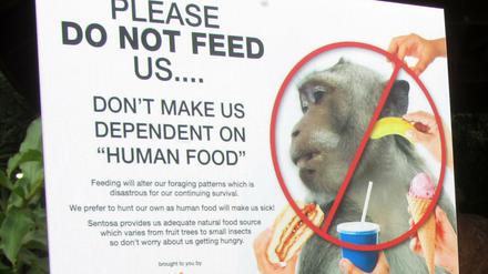 Bitte nicht füttern - dieses Gebot scheint in Singapur oft genug missachtet zu werden. 