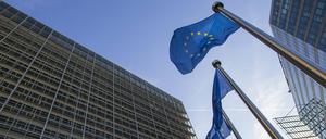 Eine Gesetzesinitiative der Europäischen Kommission um Steuersünder besser im Blick zu behalten, wurde unter anderem durch die deutschen Bundesländer entschärft.