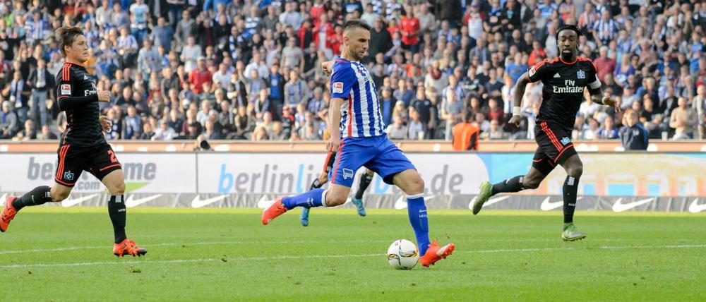 Machte alles klar: Vedad Ibisevic trifft gegen den Hamburger SV.