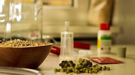 "Der Hopfen ist die Seele des Bieres"