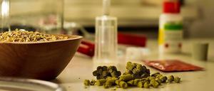 "Der Hopfen ist die Seele des Bieres"