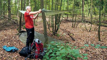 Akribisch und unkonventionell. Bundestrainer Vital Heynen hat Deutschlands Volleyballer weit nach vorne gebracht. Foto: dpa/Pleul