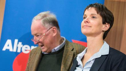 AfD-Chefin Frauke Petry und ihr Vize Alexander Gauland am Freitag in Berlin.