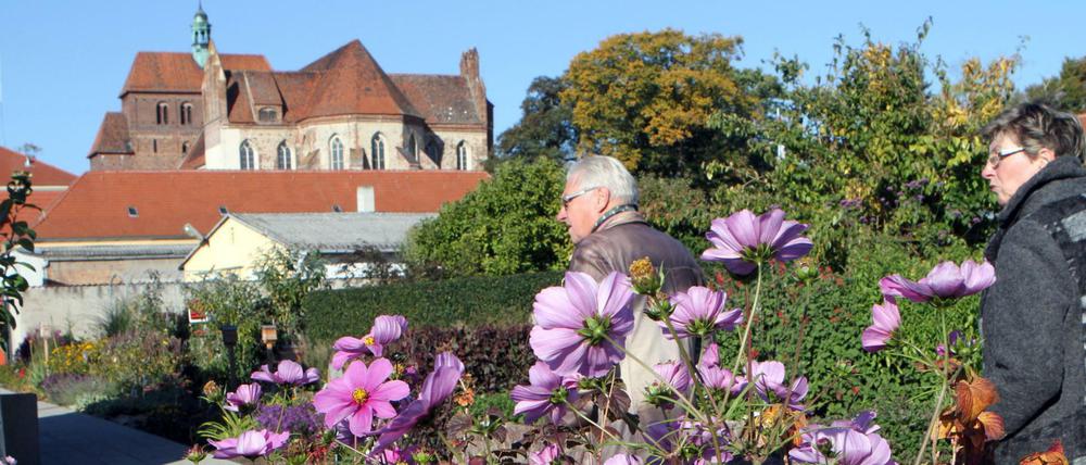 Strahlende Sonne, herrliche Blüten - aber zu wenige Besucher. Die Buga, hier in Havelberg.