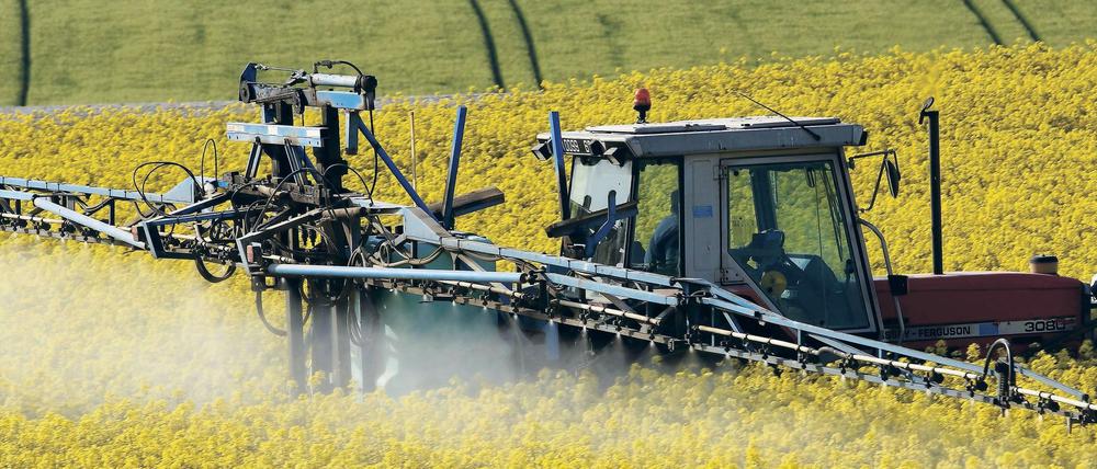 Ein Landwirt behandelt sein Rapsfeld mit Pestiziden.