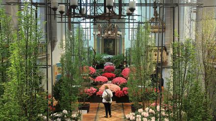Blühende Rhododendren werden bei der Bundesgartenschau in der Kirche Sankt Laurentius in Havelberg ausgestellt. 