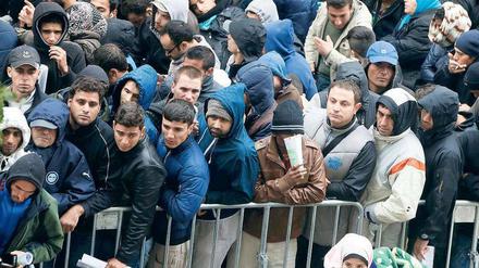 Andrang riesig, Aussichten winzig. An Werktagen stehen in der Regel rund 2000 Flüchtlinge auf dem Lageso-Gelände an. 