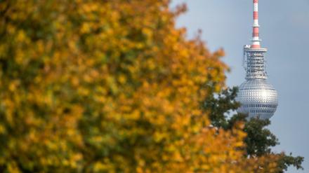 Die Sonne lässt Natur und Stadt erstahlen. Aber die Kälte verkürzt den goldenen Oktober in Berlin.