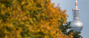 Die Sonne lässt Natur und Stadt erstahlen. Aber die Kälte verkürzt den goldenen Oktober in Berlin.