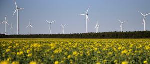 Windpark bei Elsterberg in Sachsen an der Landesgrenze zu Brandeburg.