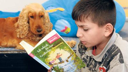 Besser üben. Fachleute empfehlen bei Leseschwäche ein an den Symptomen ansetzendes Training. In einem in Bremen positiv evaluierten Projekt lesen Kinder Tieren vor – weil sie dabei befreiter als vor Menschen agieren und Ängste überwinden können. 