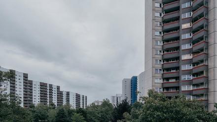 Berlin, Gropiusstadt. Wohnriesen, soweit das Auge reicht. Der Fotograf Alexander Rentsch hat einen Bildband über Berliner Großsiedlungen jenseits des S-Bahnrings verfasst. - Foto: Alexander Rentsch
