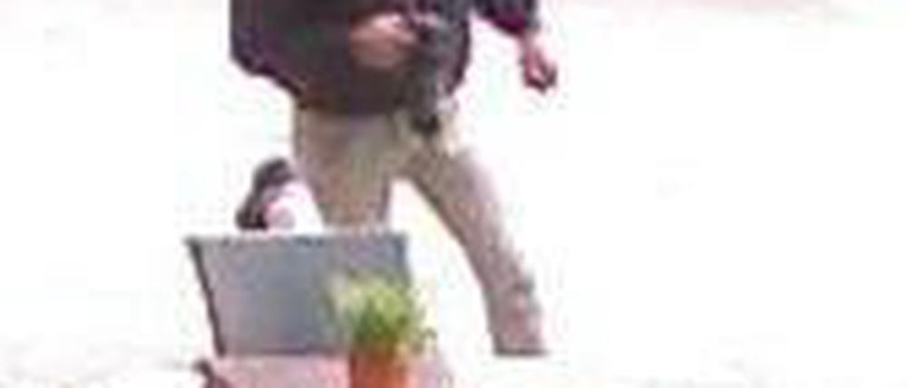 Einer der Täter während des Überfalls. In seiner Hand die Reizgasdose.