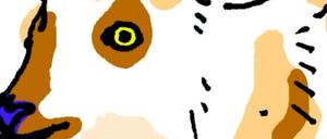 Ein Minimalist: der Serau.