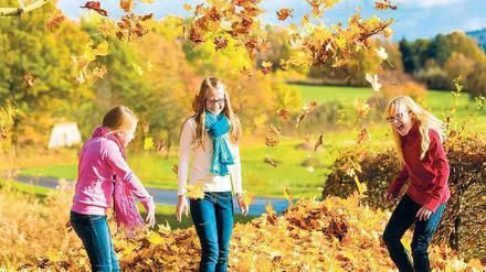 Noch einmal so richtig satt sehen an prächtigen Farben und durch die Sonne tanzen, bevor das wochenlange Berliner Wintergrau(en) hereinbricht.