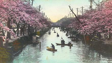 Kirschblüte in Tokio, Fluss