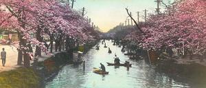 Kirschblüte in Tokio, Fluss
