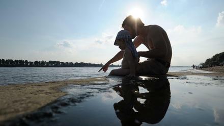 Vater und Sohn an der Elbe. Das Hormon Testosteron spielt eine Rolle dabei, wie Männer sich bei der Partnersuche und als Väter verhalten. Einer Studie zufolge ist nach der Geburt des Nachwuchses der Testosterongehalt niedriger ist als vorher.