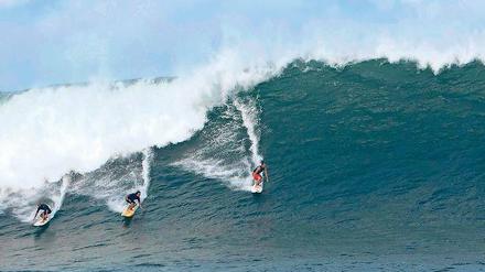 Die Surfer vor den Inseln sind besonders gefährdet. Am meisten Angriffe gibt es in den Monaten Oktober und November.