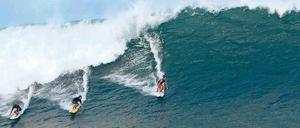 Die Surfer vor den Inseln sind besonders gefährdet. Am meisten Angriffe gibt es in den Monaten Oktober und November.