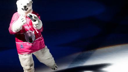 Tanzbär. Die Eisbären bleiben zuhause in dieser Saison unbesiegt - auch in pink.