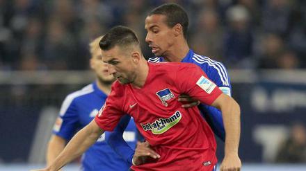 Vedad Ibisevic im Spiel auf Schalke vor seinem Platzverweis.