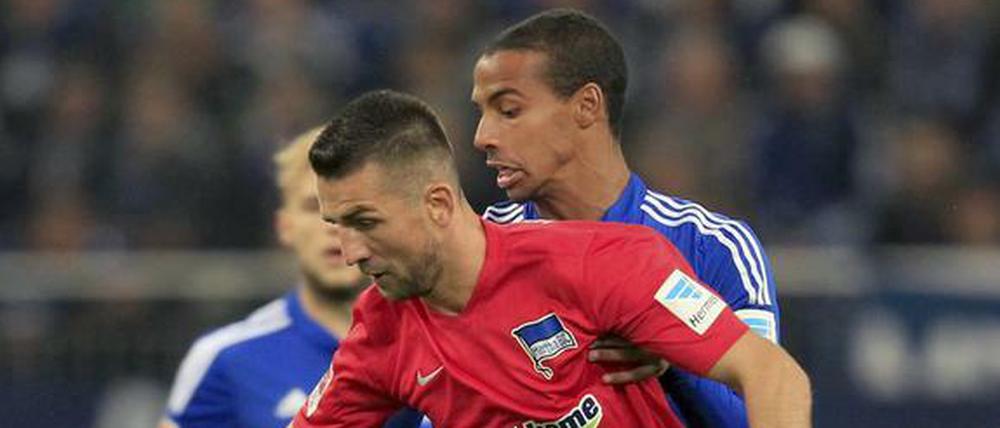 Vedad Ibisevic im Spiel auf Schalke vor seinem Platzverweis.