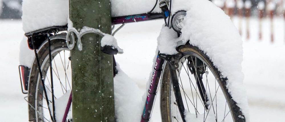 Ist die Schneedecke zu dick, müssen Fahrräder im Zweifel stehen bleiben. Grundsätzlich ist aber auch im Winter Radeln möglich - wenn man einige Vorkehrungen trifft.