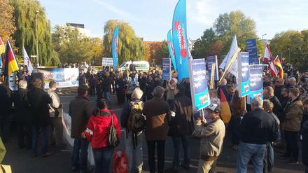 Die Teilnehmer der AfD-Demo.