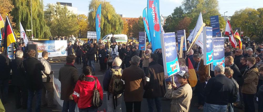 Die Teilnehmer der AfD-Demo.
