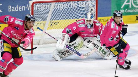 Die Eisbären Berlin laufen an diesem Wochenende in pinkfarbenen Trikots auf.