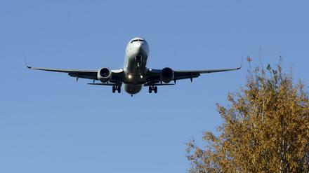 Ein Airbus A330 der Turkish Airlines am Flughafen in Riga.