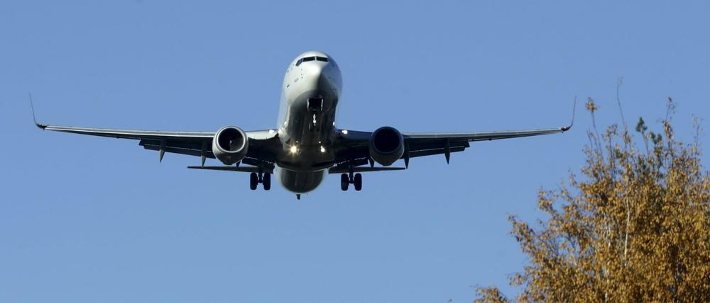 Ein Airbus A330 der Turkish Airlines am Flughafen in Riga.
