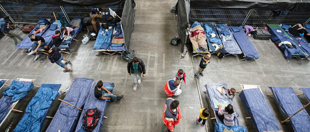 Flüchtlinge sitzen in einer Notunterkunft in Rottenburg (Baden-Württemberg) auf Feldbetten.