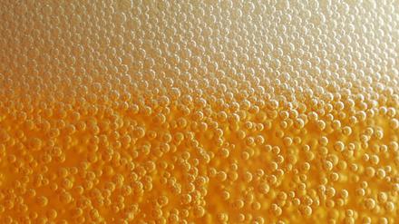 Prosit. Der Bierdurst schwindet seit Jahren, doch das lokale Bier boomt. 