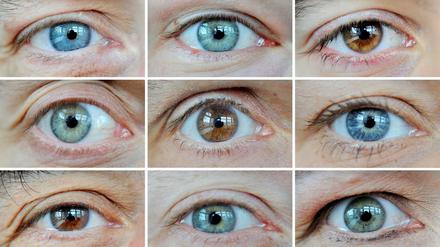 Augen