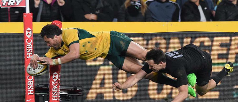 Wallabies oder All Blacks? Wer hat die Nase vorn im Finale der Rugby-WM?