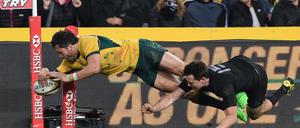 Wallabies oder All Blacks? Wer hat die Nase vorn im Finale der Rugby-WM?