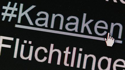 Der Hass im Netz nimmt zu, viele Kommentare sind verstörend, ihre Wirkung nicht zu unterschätzen. Dennoch führt ein Verbot nicht weiter, im Gegenteil, sagen die Politikwissenschaftler Doris Unger und Jürgen Sirsch.