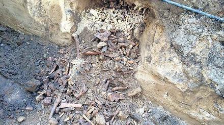 Überreste von 15 Menschen. Archäologen hatten seit 2014 an der FU gegraben.