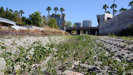 Ausgetrocknet wie so viele andere Flüsse und Seen in Kalifornien: der Guadalupe River in San Jose. 