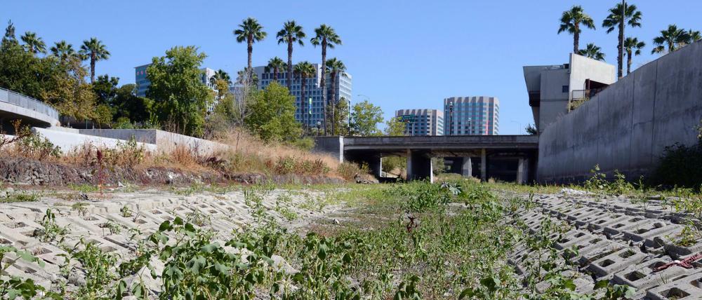 Ausgetrocknet wie so viele andere Flüsse und Seen in Kalifornien: der Guadalupe River in San Jose.